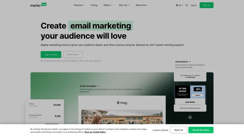 Capture d'écran de MailerLite