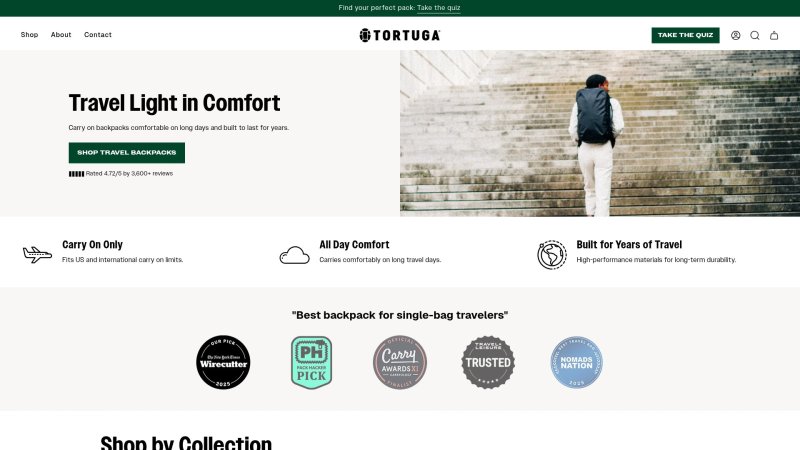 Capture d'écran de Tortuga Outbreaker