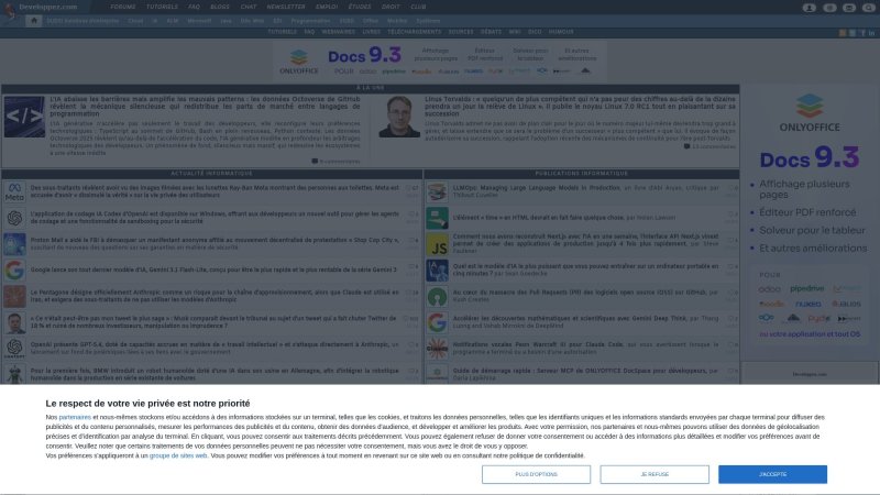 Capture d'écran de Developpez.com