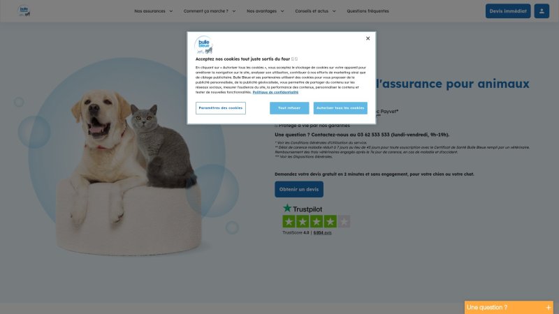 Capture d'écran de Bulle Bleue