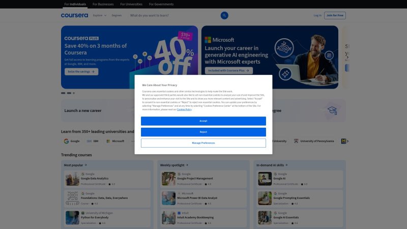 Capture d'écran de Coursera Excel Skills