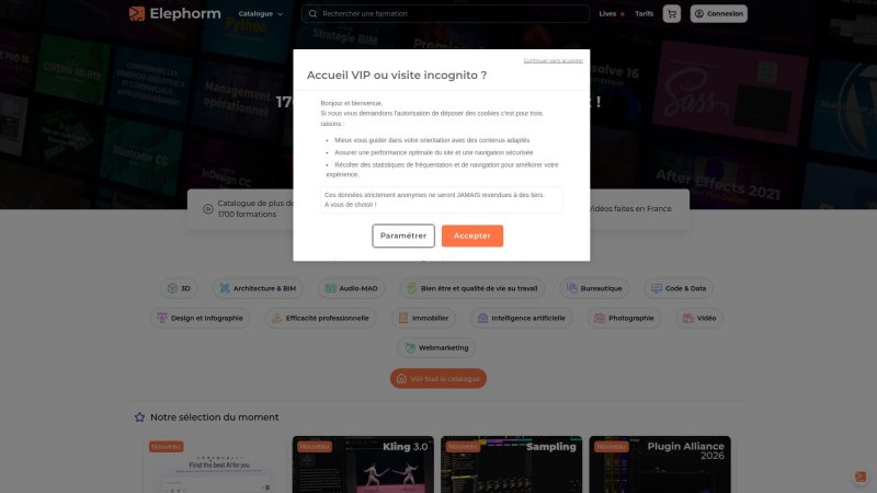 Capture d'écran de Elephorm Excel