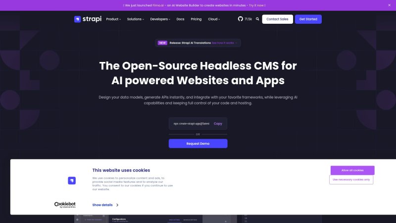 Capture d'écran de Strapi