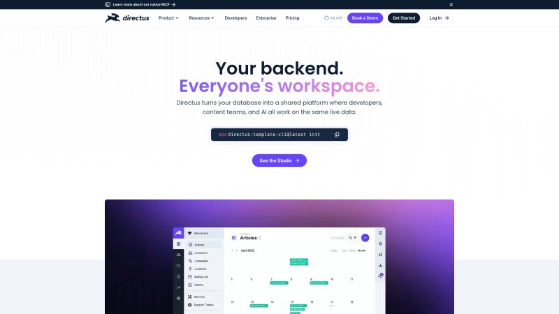 Capture d'écran de Directus